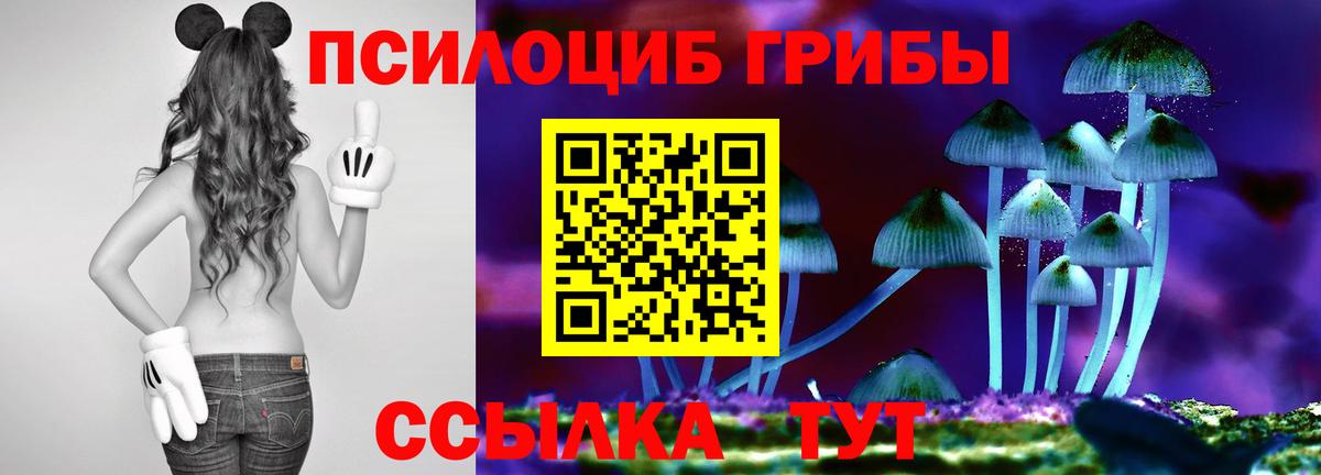 Галлюциногенные грибы MAGIC MUSHROOMS  продажа наркотиков  Ноябрьск  Вход с VPN 