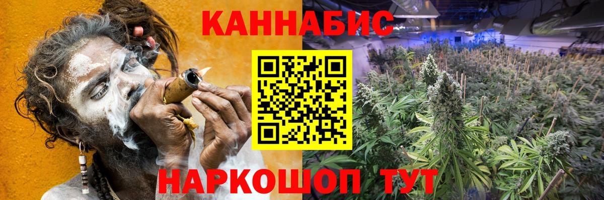 Бошки марихуана THC 21% Ноябрьск